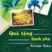 Quà Tặng Bình Yên pdf