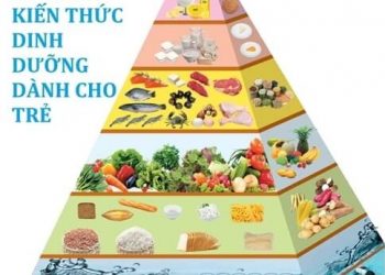 19 Video Kiến Thức Dinh Dưỡng Dành Cho Trẻ pdf