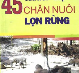 45 câu hỏi - đáp chăn nuôi lợn rừng pdf