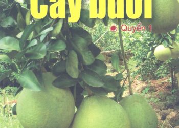 Kỹ thuật canh tác cây ăn trái cây bưởi pdf