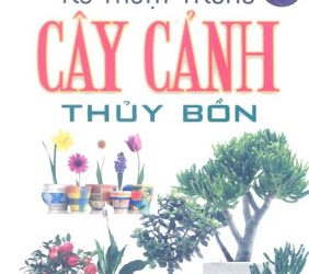 Kỹ thuật trồng cây cảnh thủy bồn pdf