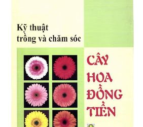 Kỹ thuật trồng và chăm sóc cây hoa đồng tiền pdf