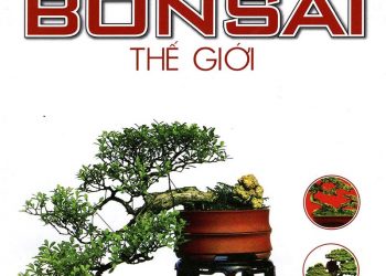 Những kiệt tác bonsai thế giới pdf
