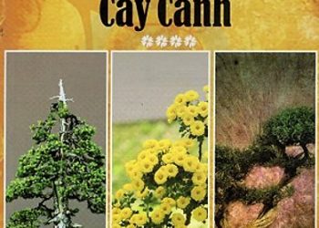 Sổ tay nghệ nhân cây cảnh pdf