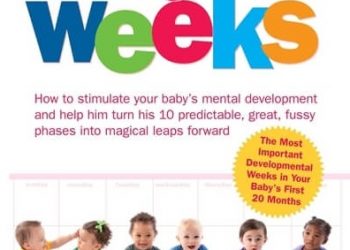 The Wonder Weeks – Tuần Khủng Hoảng pdf