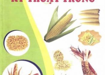 Các Giống Ngô Mới Và Kỹ Thuật Trồng pdf
