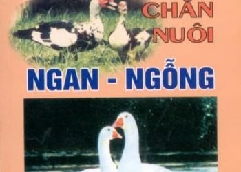 Cẩm Nang Chăn Nuôi Ngan – Ngỗng pdf