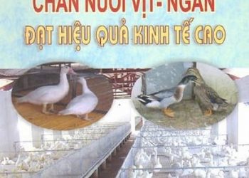 Chăn Nuôi Vịt – Ngan Đạt Hiệu Quả Kinh Tế Cao pdf