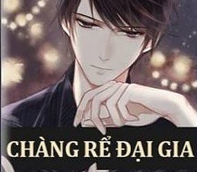 Chàng Rể Đại Gia pdf