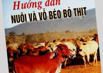 Hướng Dẫn Nông Dân Nuôi Bò Thịt pdf