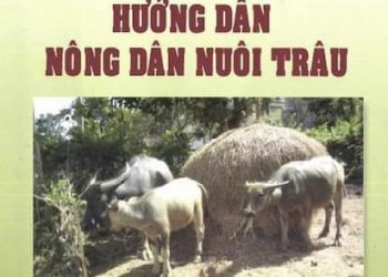Hướng Dẫn Nông Dân Nuôi Trâu pdf