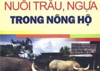 Hướng Dẫn Nuôi Trâu Ngựa Trong Nông Hộ pdf