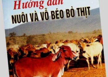 Hướng Dẫn Nuôi Và Vỗ Béo Bò Thịt pdf