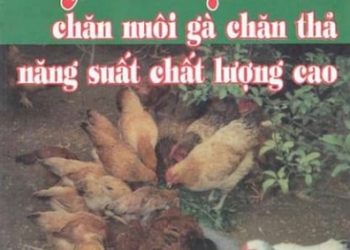 Kỹ Thuật Chăn Nuôi Gà Chăn Thả Năng Suất Chất Lượng Cao pdf