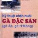 Kỹ Thuật Chăn Nuôi Gà Đặc Sản: Gà Ác Gà H’Mông pdf