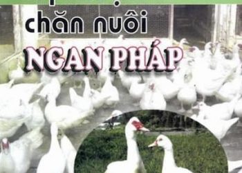 Kỹ Thuật Chăn Nuôi Ngan Pháp pdf