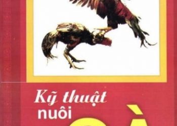 Kỹ Thuật Nuôi Gà Chọi pdf