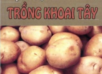 Kỹ Thuật Trồng Khoai Tây pdf