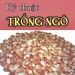 Kỹ Thuật Trồng Ngô pdf