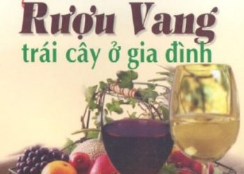 Làm Rượu Vang Trái Cây Ở Gia Đình pdf