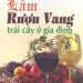 Làm Rượu Vang Trái Cây Ở Gia Đình pdf