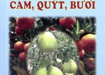 Người Nông Dân Làm Giàu Không Khó – Kỹ Thuật Trồng Cam, Quýt, Bưởi pdf