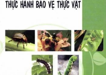 Số Tay Thực Hành Bảo Vệ Thực Vật PDF
