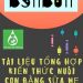 Tài Liệu Tổng Hợp Kiến Thức Nuôi Con Bằng Sữa Mẹ pdf