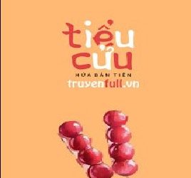 Tiểu Cửu pdf