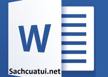 Chuyên đề từ chỉ số lượng trong tiếng anh pdf
