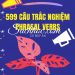 599 Câu Trắc Nghiệm Phrasal Verbs - Trang Anh (Bản Đẹp) pdf